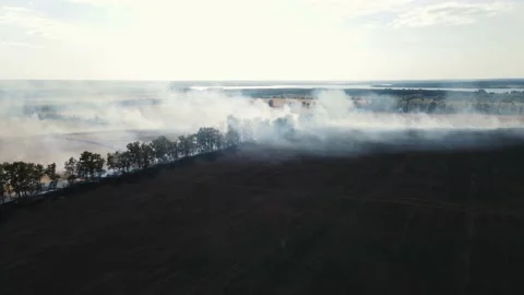 Burning a field over a large area. drone shooting Stock Footage 157705826
