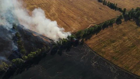 Burning of a field with wheat on a large area. aerial shooting Stock Footage 158682457