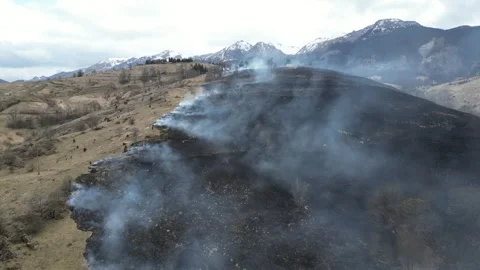 Burning field. Wildfire in the mountains. Forest fire. Stock-Footage 271360480