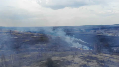 Burning fields on the background of the highway. Stock Footage 106351319
