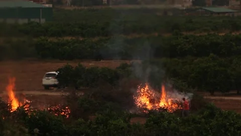 Burning fields 库存影片 162030877