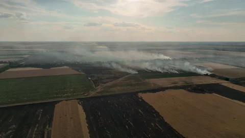 Burning fields of Kherson region 2022 Stock Footage 221514479