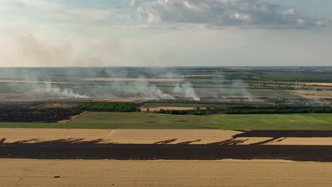 Burning fields of Kherson region 2022 Stock Footage 221514524