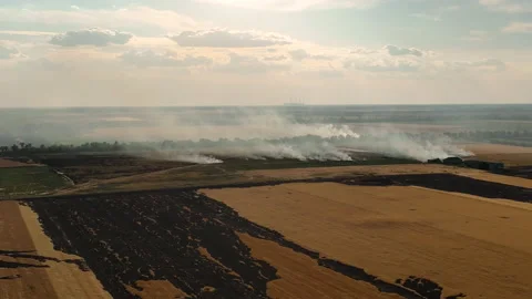 Burning fields of Kherson region 2022 스톡 동영상 221514550