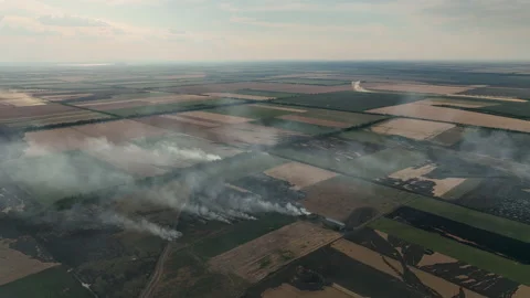 Burning fields of Kherson region 2022 Stock Footage 221514574