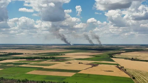 Burning fields of Kherson region 2022 Stock Footage 221514701