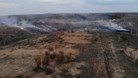 Burning fields near the highway. Stock Footage 106393284