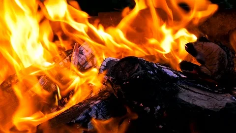 Burning fire and bright coals. Stock Footage 71241121