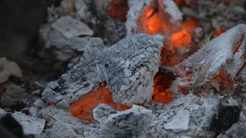 Burning fire and bright coals. Stock Footage 77019042