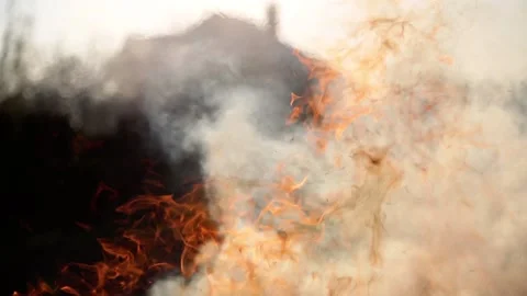 Burning fire on a background of the house Stock Footage 89415805