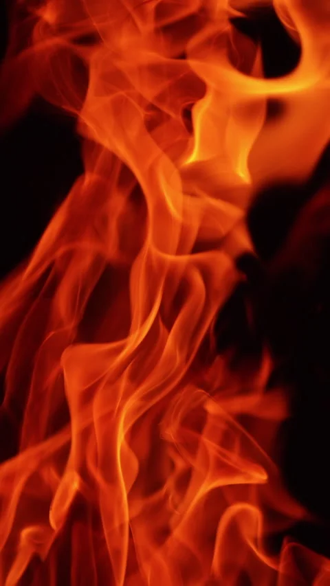 Burning fire on black background. Hot red flames moving in darkness. Close up. Stock Footage 318007962