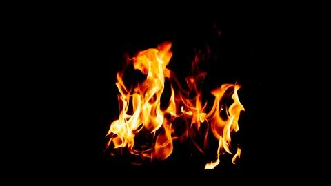 Burning fire on a black background Stock Photos