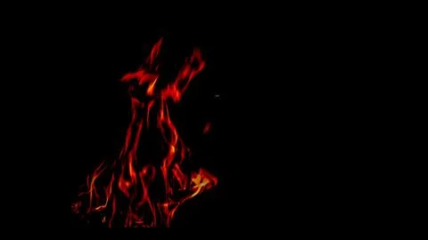 Burning fire on a black background Stock Photos