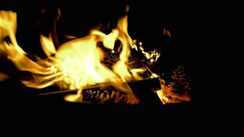 Burning fire. Bonfire. Burning pine cones. Stock Footage 153805340