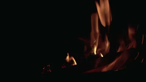 Burning fire. Bonfire. Burning pine cones. Stock Footage 153813037