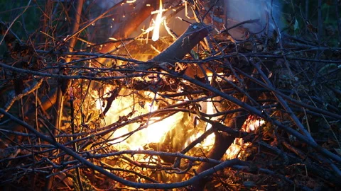 Burning fire. The bonfire burns in the forest. Texture of burning fire. Bonfire Vidéo 133435532