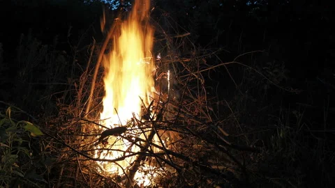 Burning fire. The bonfire burns in the forest. Texture of burning fire. Bonfire Vidéo 133435840