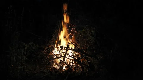 Burning fire. The bonfire burns in the forest. Texture of burning fire. Bonfire Vidéo 133435941