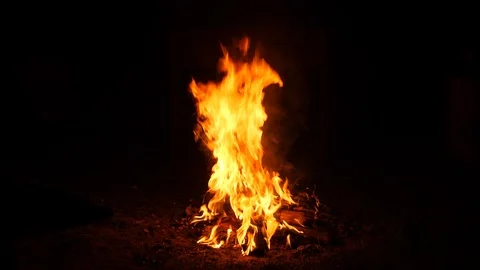 Burning fire. Bonfire. Close Up of flames burning on black background, slow Stock Footage 104077017