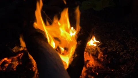 Burning fire. Bonfire. Closeup of flames burning on black background, slow Stock Footage 109172973