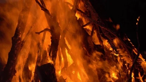 Burning fire. Bonfire. Closeup of flames burning on black background, slow Видео 111208564