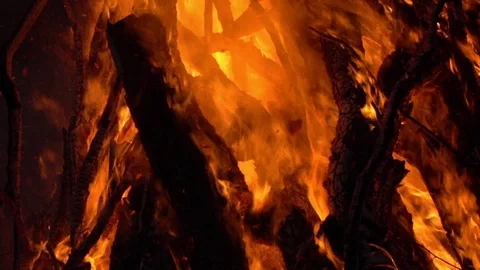 Burning fire. Bonfire. Closeup of flames burning on black background, slow Video stock 111208902