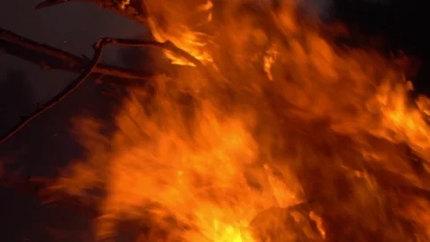 Burning fire. Bonfire. Closeup of flames burning on black background, slow Видео 111209995