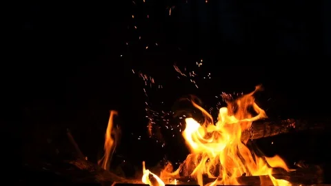 Burning fire. Bonfire. Closeup of flames burning on black background, slow motio Stock Footage 118229776