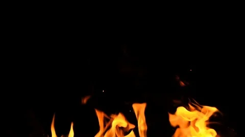 Burning fire. Bonfire. Closeup of flames burning on black background, slow motio Stock Footage 118231062