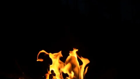 Burning fire. Bonfire. Closeup of flames burning on black background, slow motio Stock Footage 118231784