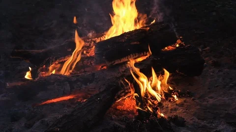 Burning fire. Bonfire. Closeup of flames burning on black background, slow motio Stock Footage 118234233