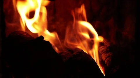 Burning fire. Bonfire. Closeup of flames burning on black background. Stock Footage 122357538