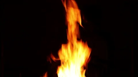 Burning fire. Bonfire. Closeup of flames burning Stock Footage 134494008