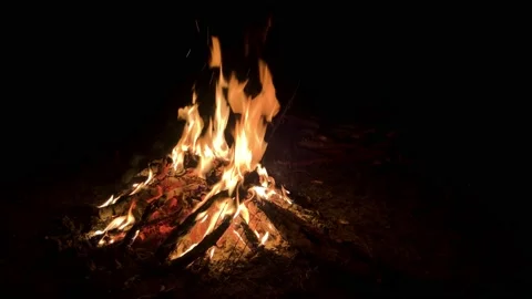 Burning fire. Bonfire. Closeup of flames burni 動画素材 139810422