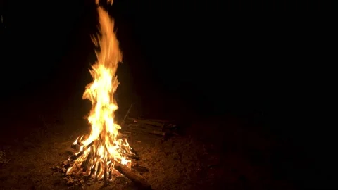 Burning fire. Bonfire. Closeup of flames burni Видео 139810523