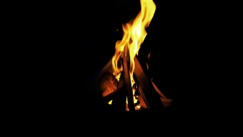 Burning fire. Bonfire. Closeup of flames burning on black background Stock Footage 153799810