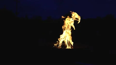 Burning fire. Bonfire. Closeup of flames burning on black background Stock Footage 153800084