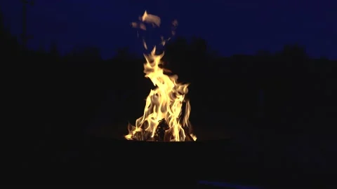 Burning fire. Bonfire. Closeup of flames burning on black background Stock Footage 153800230