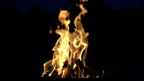 Burning fire. Bonfire. Closeup of flames burning on black background Stock Footage 153800346