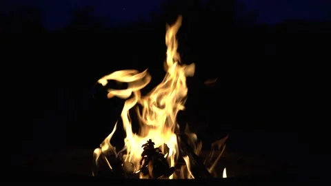 Burning fire. Bonfire. Closeup of flames burning on black background Stock Footage 153800456