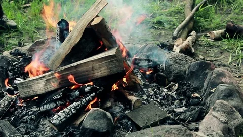 Burning Fire. Burning wood in a Campfire Stock Footage 76950231