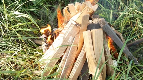 Burning fire in the campfire. Stock Footage 117130215