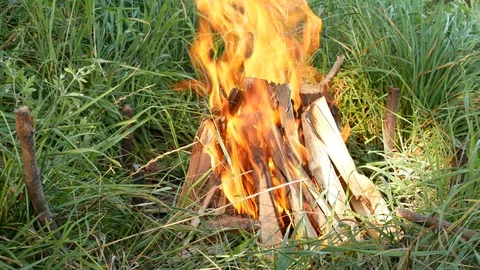 Burning fire in the campfire. Stock Footage 117130266
