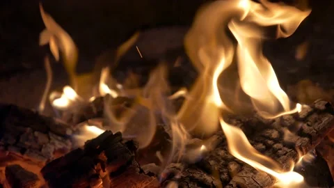 Burning fire, the charred firewood. Stock Footage 137568955