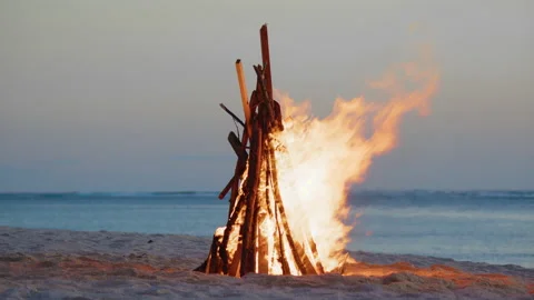Burning fire in close-up on the beach. Wood in the bonfire detailed fire Stock Footage 193741063