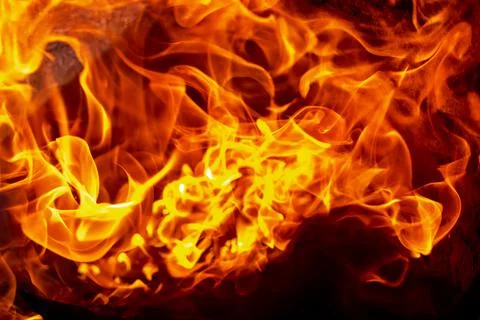 Burning fire close up. Bright orange and red flames on a dark background. Ope Photos