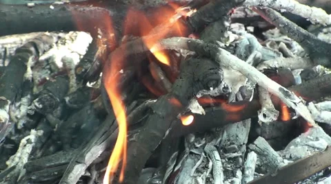 Burning fire close-up. The burning of firewood, coal and ash Stock Footage 61215080