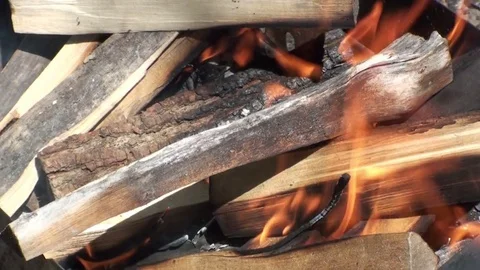 Burning fire close-up. The burning of firewood. Video stock 77861343