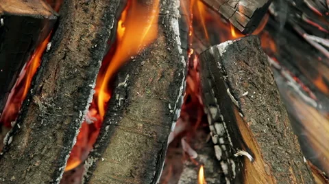 Burning fire close-up Stock Footage 50396925