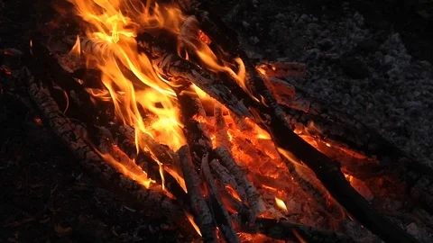 Burning fire close up Stock Footage 93420310